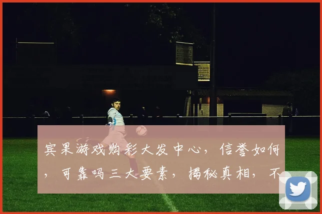 宾果游戏购彩大发中心，信誉如何，可靠吗三大要素，揭秘真相，不容错过
