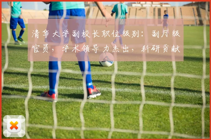 清华大学副校长职位级别：副厅级官员，学术领导力杰出，科研贡献卓越，教育创新先行者