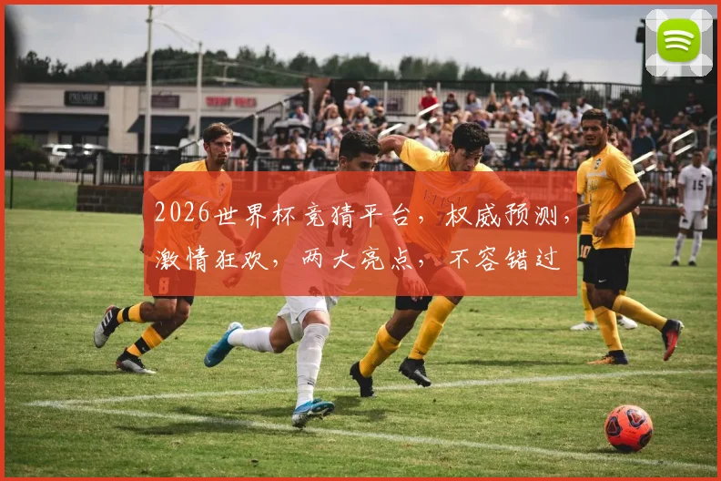 2026世界杯竞猜平台，权威预测，激情狂欢，两大亮点，不容错过