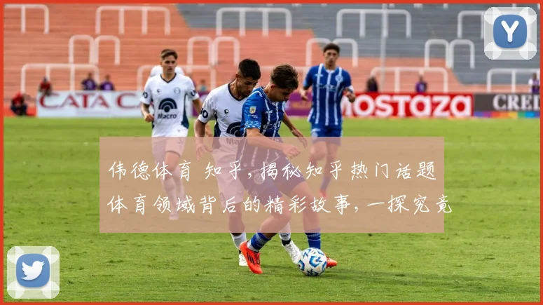 伟德体育 知乎,揭秘知乎热门话题体育领域背后的精彩故事,一探究竟
