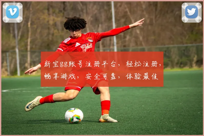 新宝gg账号注册平台，轻松注册，畅享游戏，安全可靠，体验最佳