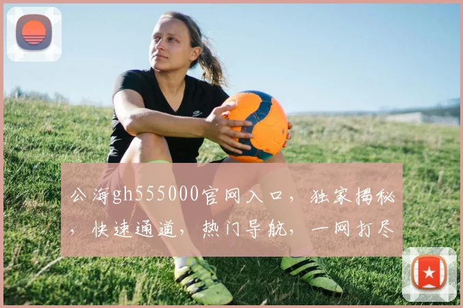 公海gh555000官网入口，独家揭秘，快速通道，热门导航，一网打尽